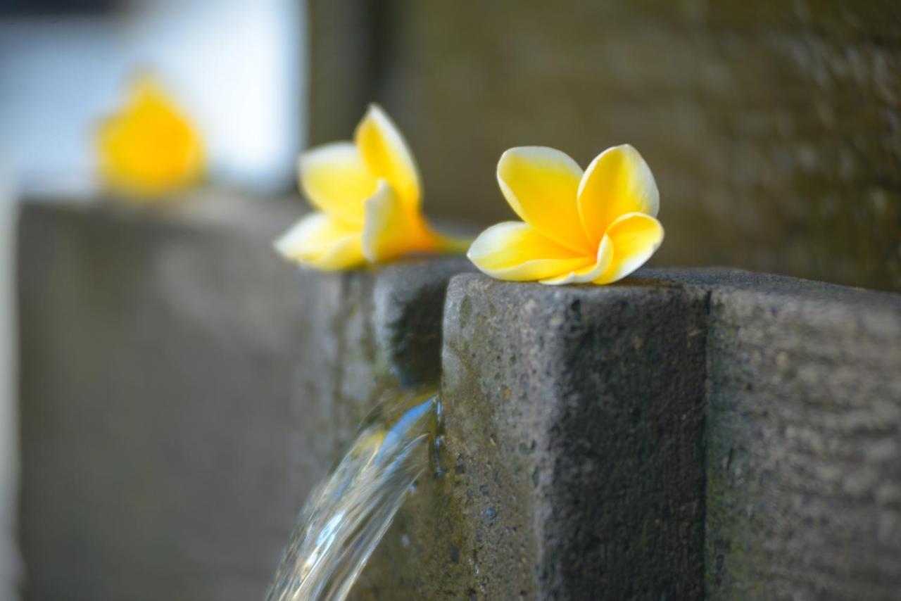 Andari Legian Hotel Bali Esterno foto